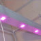 ხაზოვანი შუქდიოდური ფიტო სანათი  LED სოიუზ 4 იყიდე თბილისში